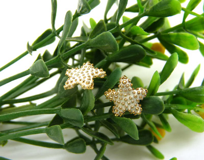 清凉夏季新款 韩版时尚合金电镀海星耳钉 五角星潮流女耳钉C6-2-3