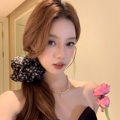 法式氛围感碎花蝴蝶结女后脑勺马尾半扎发皮筋