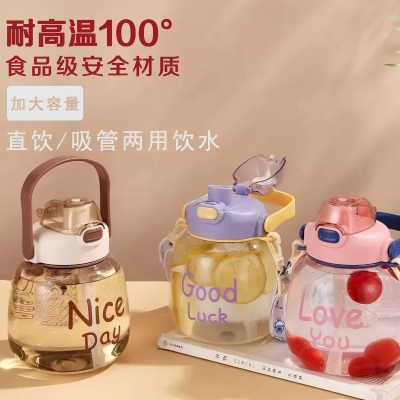1100ML-5820双饮胖肚杯太空杯 60/箱