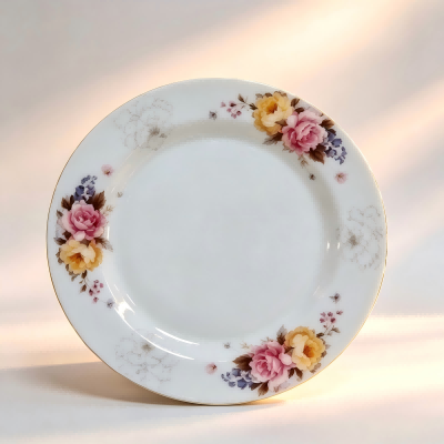 （23cm仿瓷）6009贴花盘清新风碗碟盘餐具 144/件